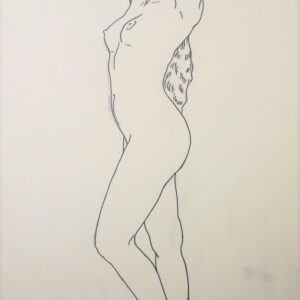 dibujo-mujer-desnuda-desnudos-pelo-largo-federico-lopez-ares